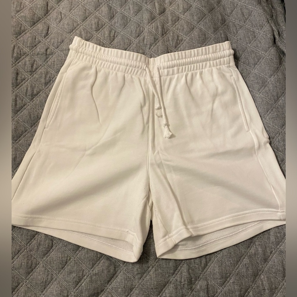 Aritzia shorts